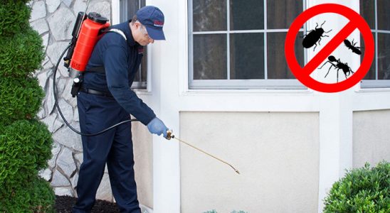 Gemlik Kemirgen İlaçlama böcek ilaçlama ve haşere kontrolü — ilaclama-tr.com